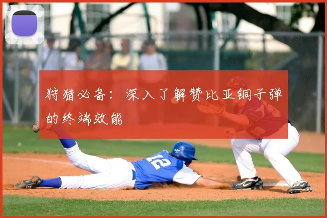 狩猎必备:深入了解赞比亚铜子弹的终端效能