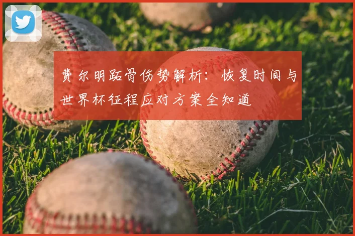 费尔明跖骨伤势解析：恢复时间与世界杯征程应对方案全知道